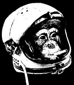 astronauta-macaco astronauta-macaco