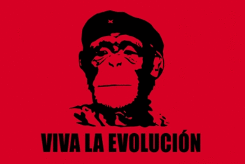 camiseta-16 camiseta evolucion