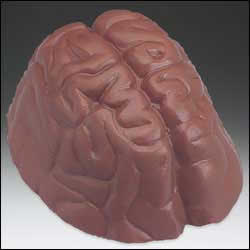 cerebro chocolate