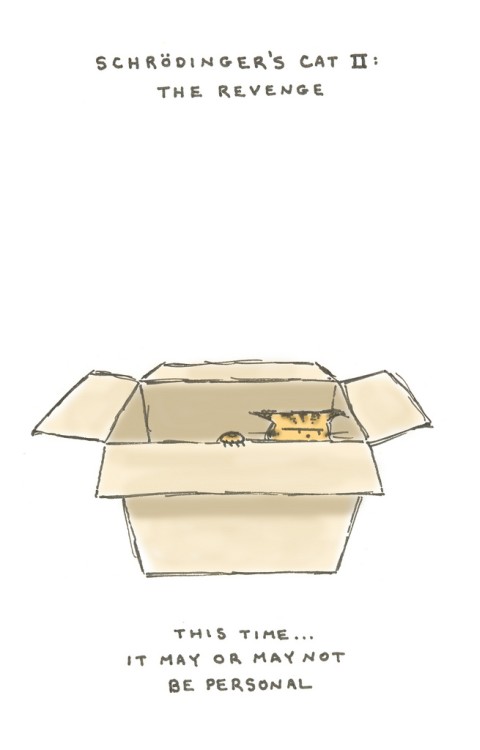 Gato de Schrödinger voltou!