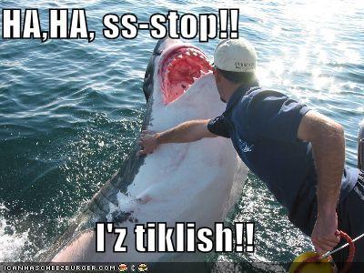 lolshark
