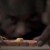pão com manteiga