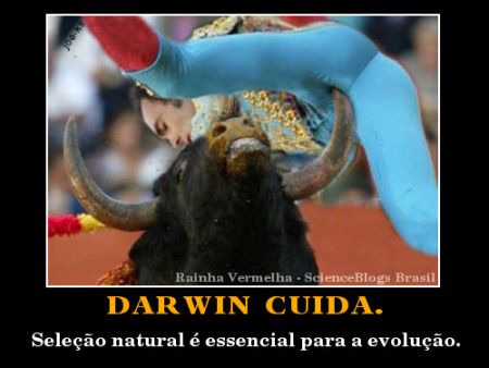 motivador-darwin-1 cartaz motivador darwin