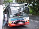 onibus
