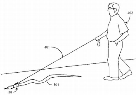 passeando com uma cobra patente para passear com uma cobra