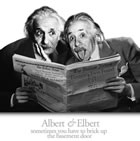 einstein gêmeo